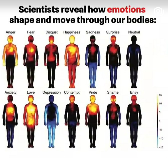 Human Temperature difference